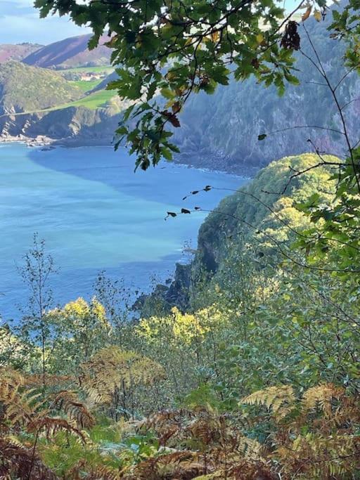 Linnet, Moor And Sea Holidays, Set Perfectly Between Exmoor And The Sea Lynton Exterior foto